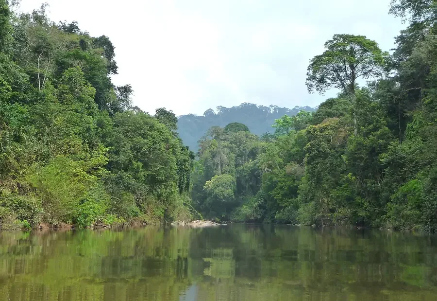 Endau-Rompin Gateway Camp